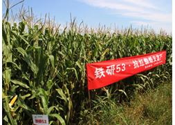 內蒙古種植案例